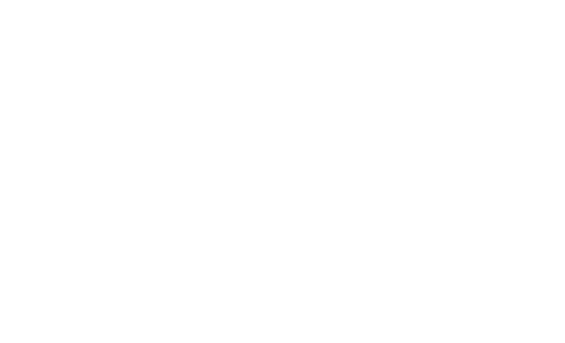 Magician & illusionist – THE MAGIC MAN Logo